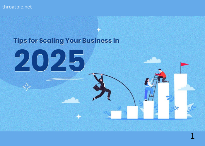 Effective Strategies for Scaling Your Business in 2025